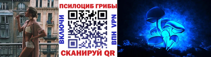 Псилоцибиновые грибы Magic Shrooms  Ряжск 